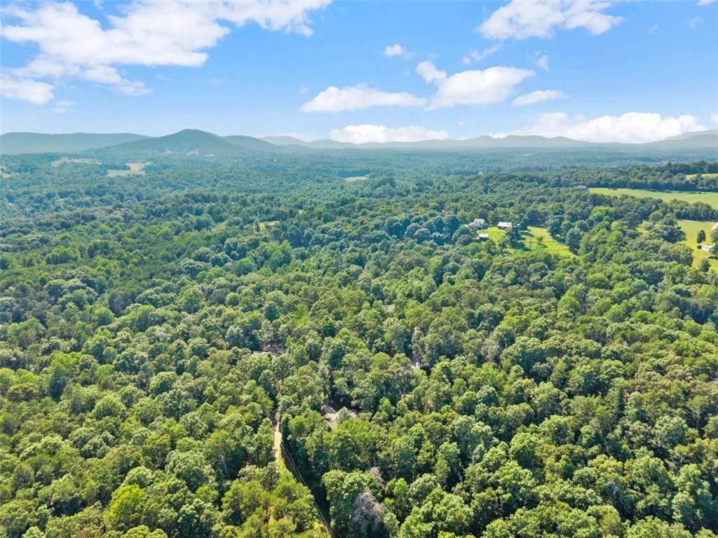 309 Fowler Creek Drive