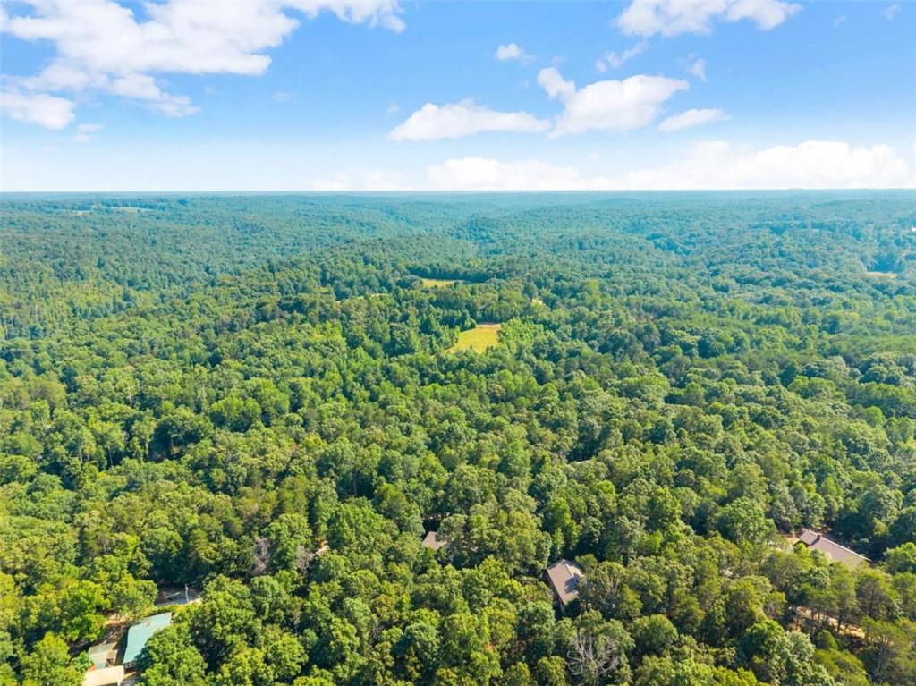 309 Fowler Creek Drive