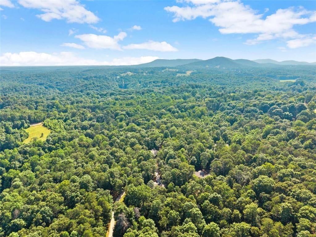 309 Fowler Creek Drive