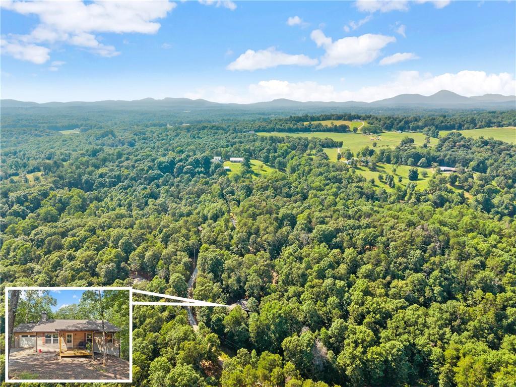 309 Fowler Creek Drive