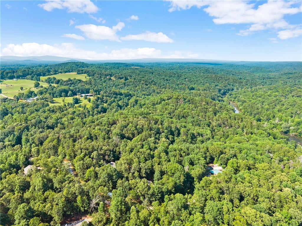 309 Fowler Creek Drive