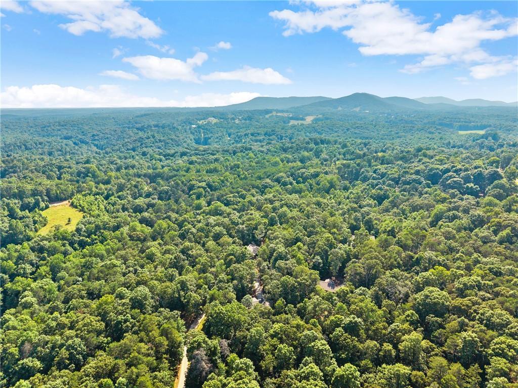 309 Fowler Creek Drive