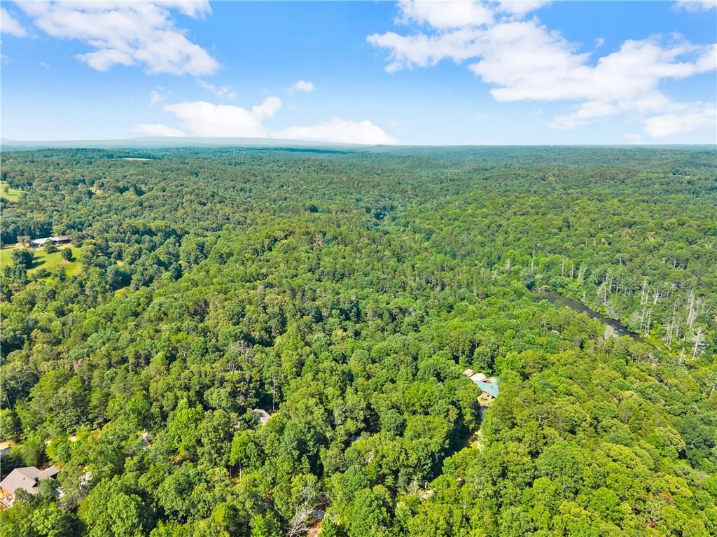 309 Fowler Creek Drive