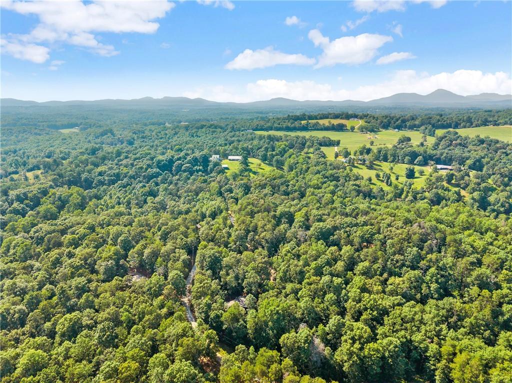 309 Fowler Creek Drive