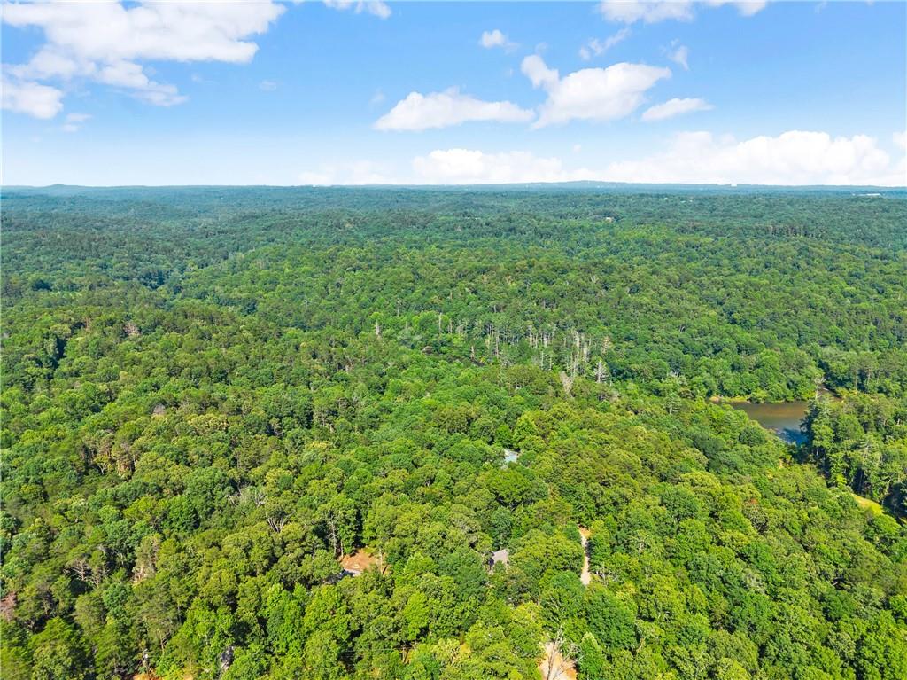 309 Fowler Creek Drive