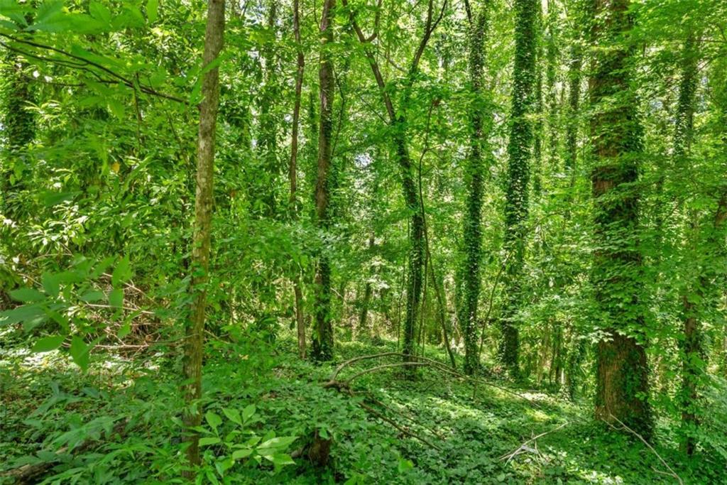 0 Hilton Southwest Drive