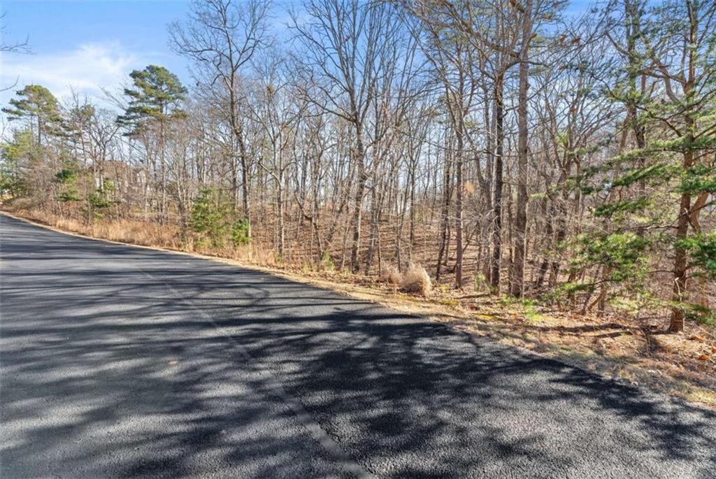 LOT 37 Teel Mountain Lane