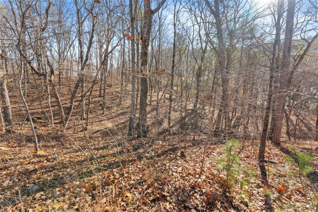 LOT 37 Teel Mountain Lane