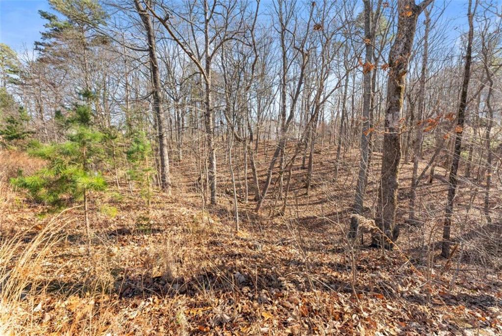 LOT 37 Teel Mountain Lane