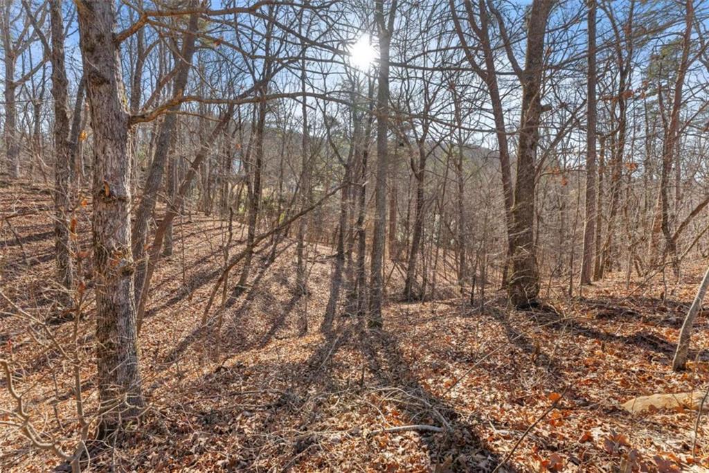 LOT 37 Teel Mountain Lane