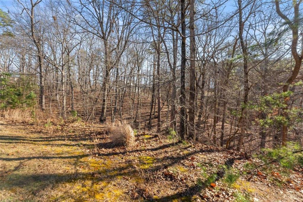 LOT 37 Teel Mountain Lane