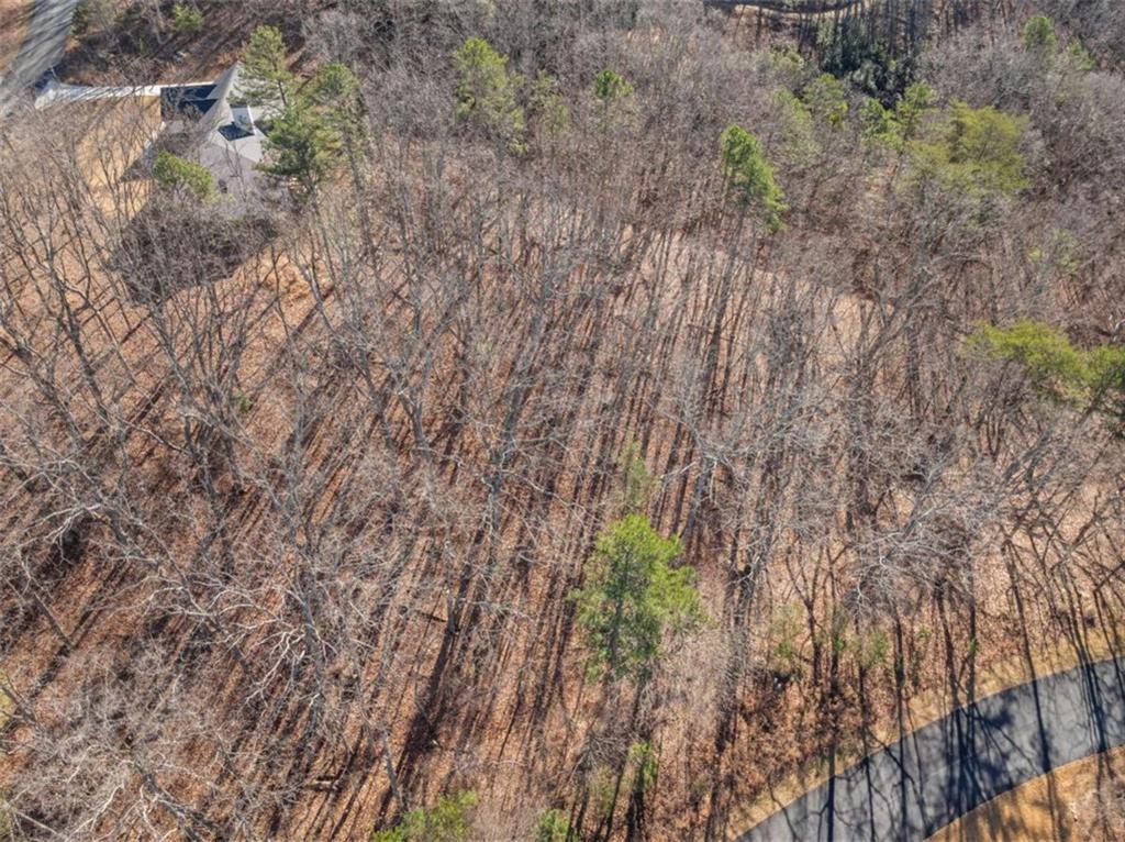 LOT 37 Teel Mountain Lane