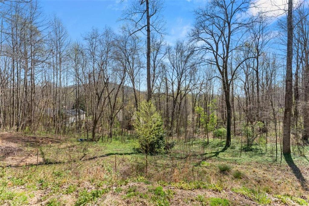 426 Old Clarksville Highway