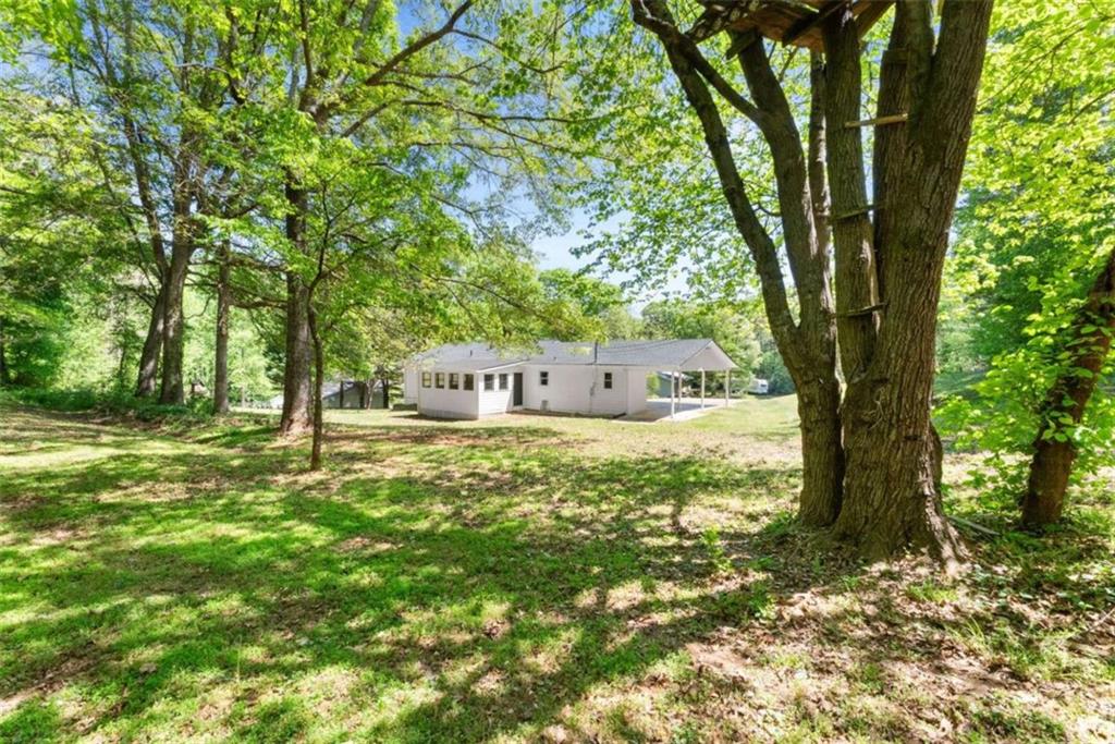 217 Quail Trail