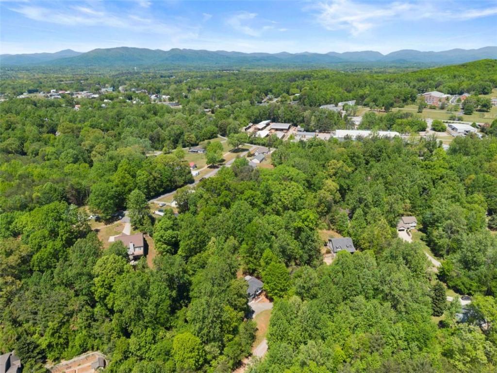 162 Greenview Court