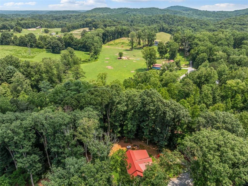 88 Old Vineyard Way