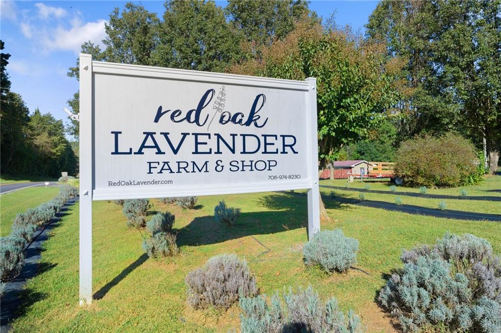 2882 Red Oak Flats Road