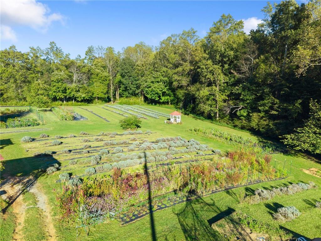 2882 Red Oak Flats Road