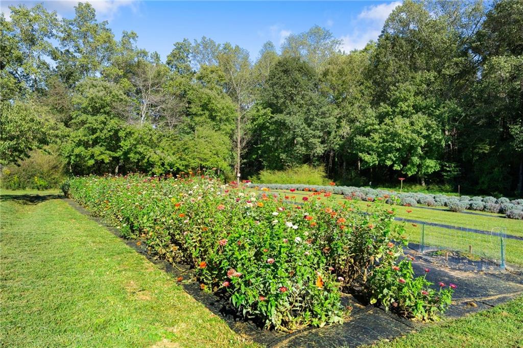 2882 Red Oak Flats Road