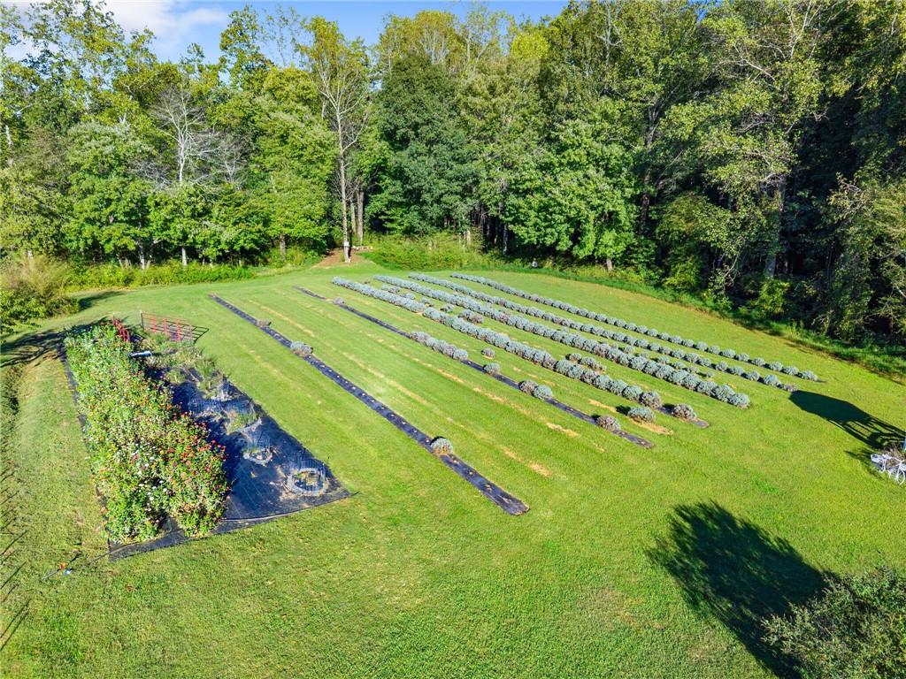 2882 Red Oak Flats Road