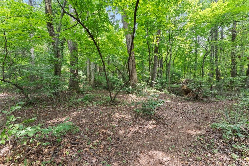 8817 Shallow Creek Trail