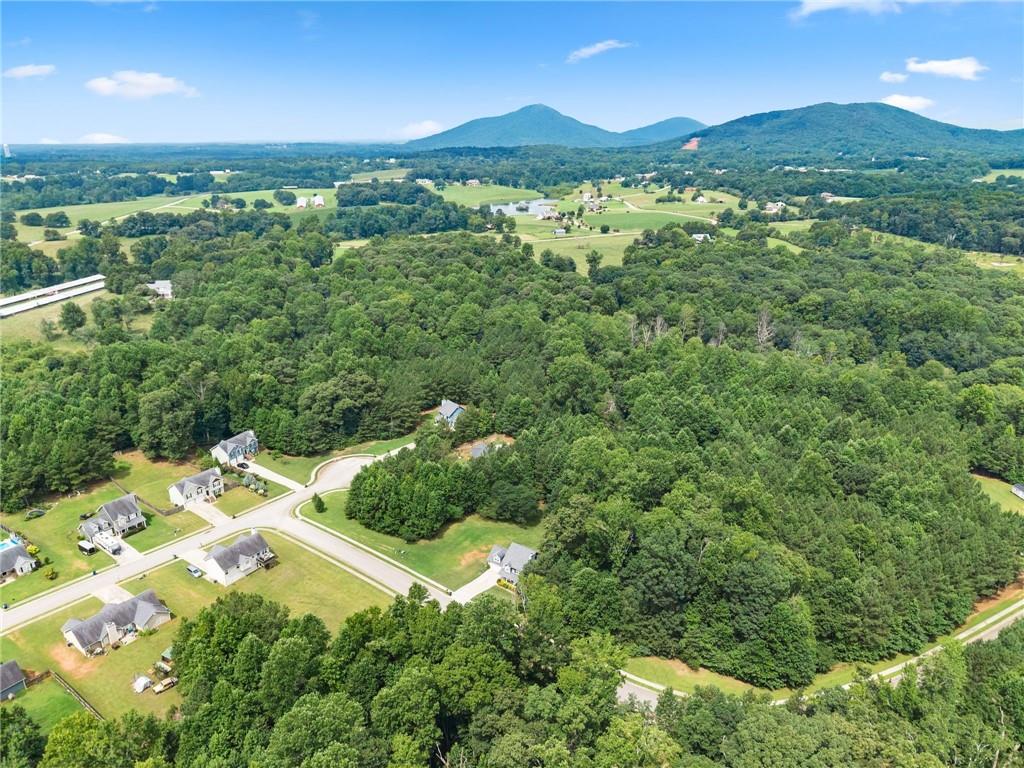 8817 Shallow Creek Trail
