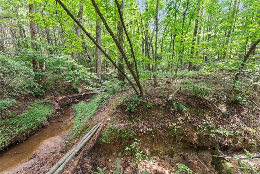 8817 Shallow Creek Trail