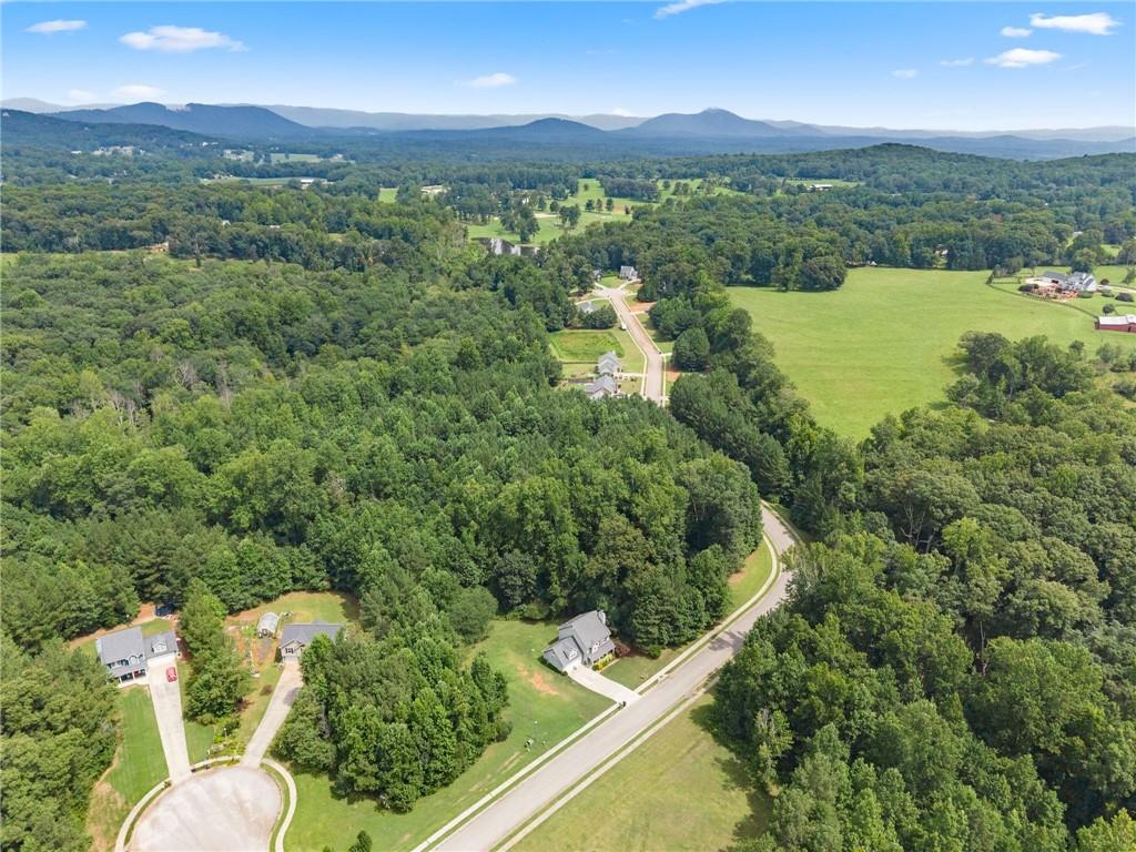 8817 Shallow Creek Trail