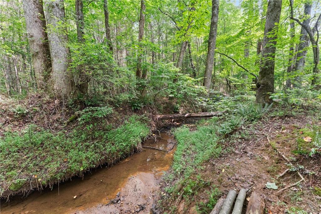8817 Shallow Creek Trail
