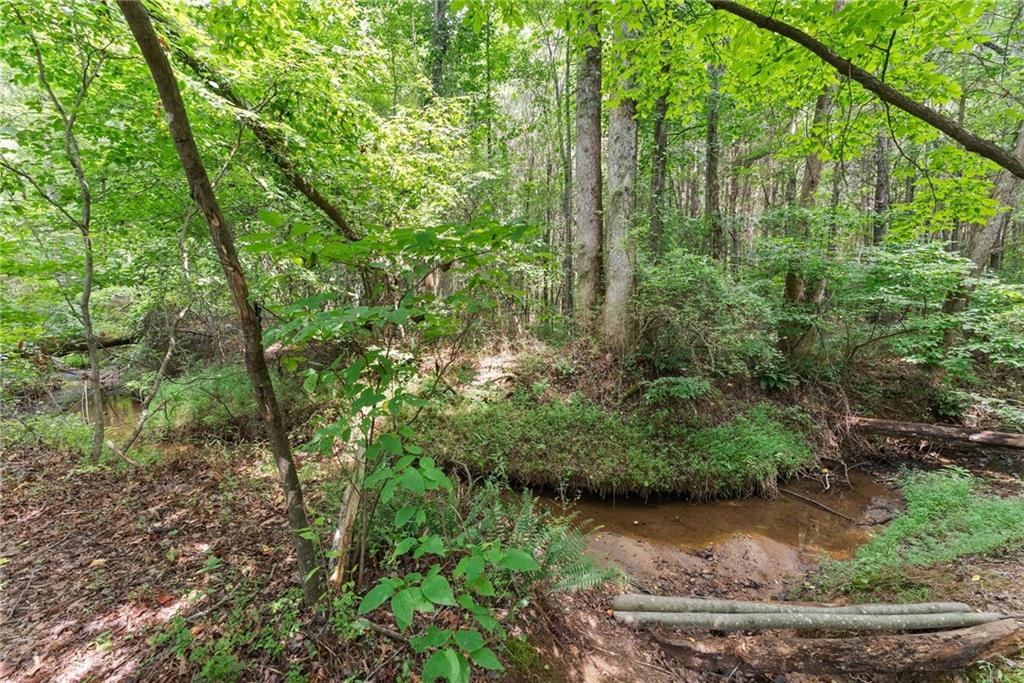 8817 Shallow Creek Trail