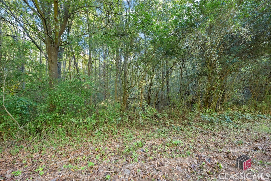 0 Caney Branch Road