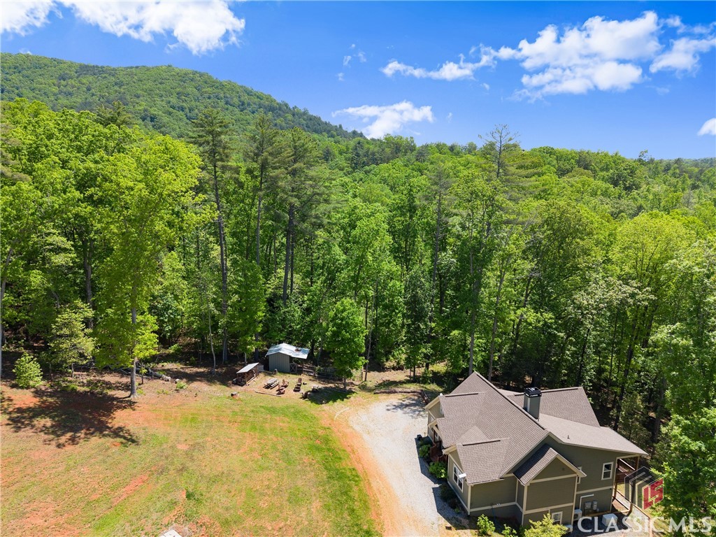 457 Celie Ann Seabolt Road