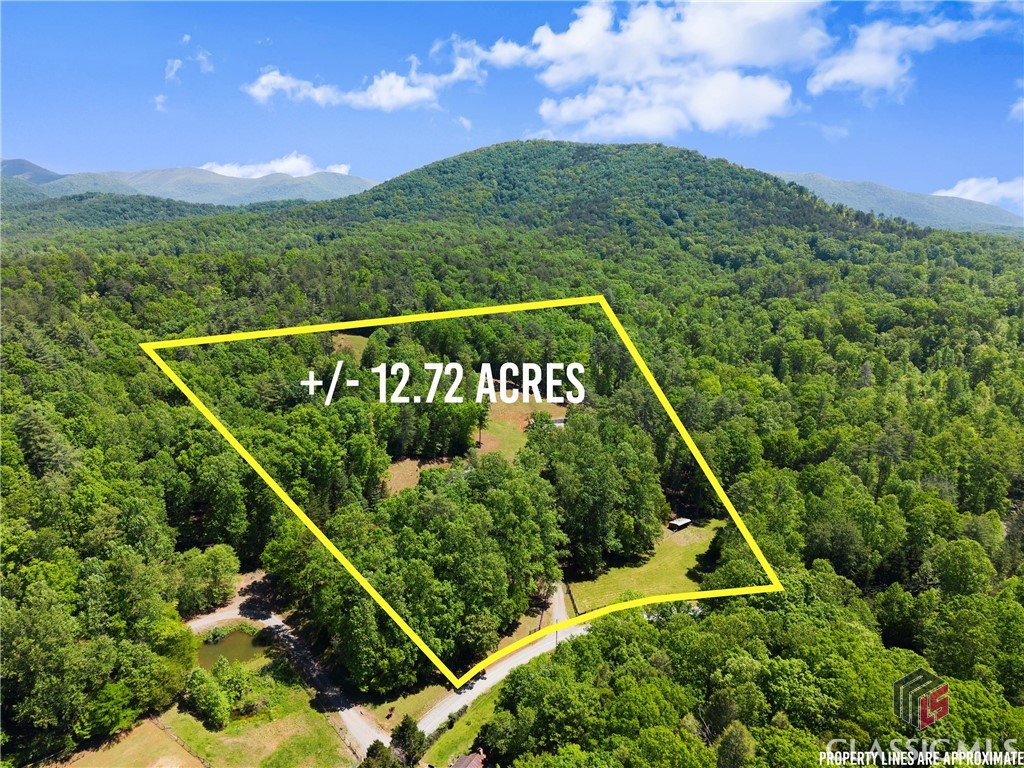 457 Celie Ann Seabolt Road