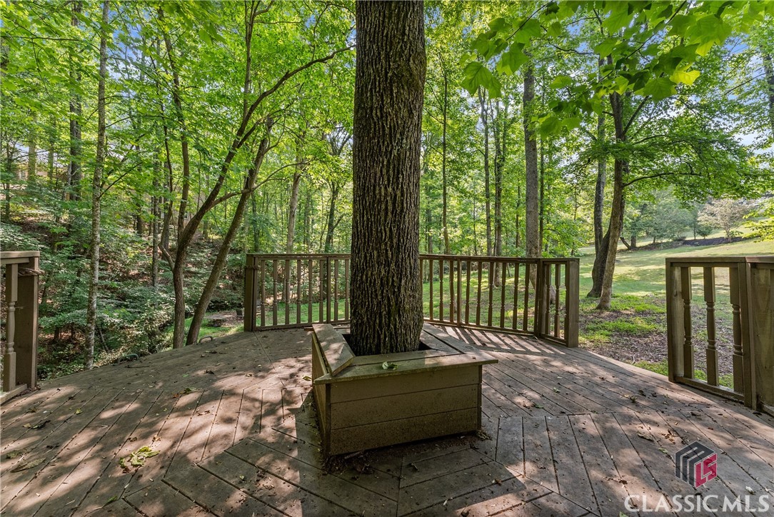 4514 Walking Stick Lane