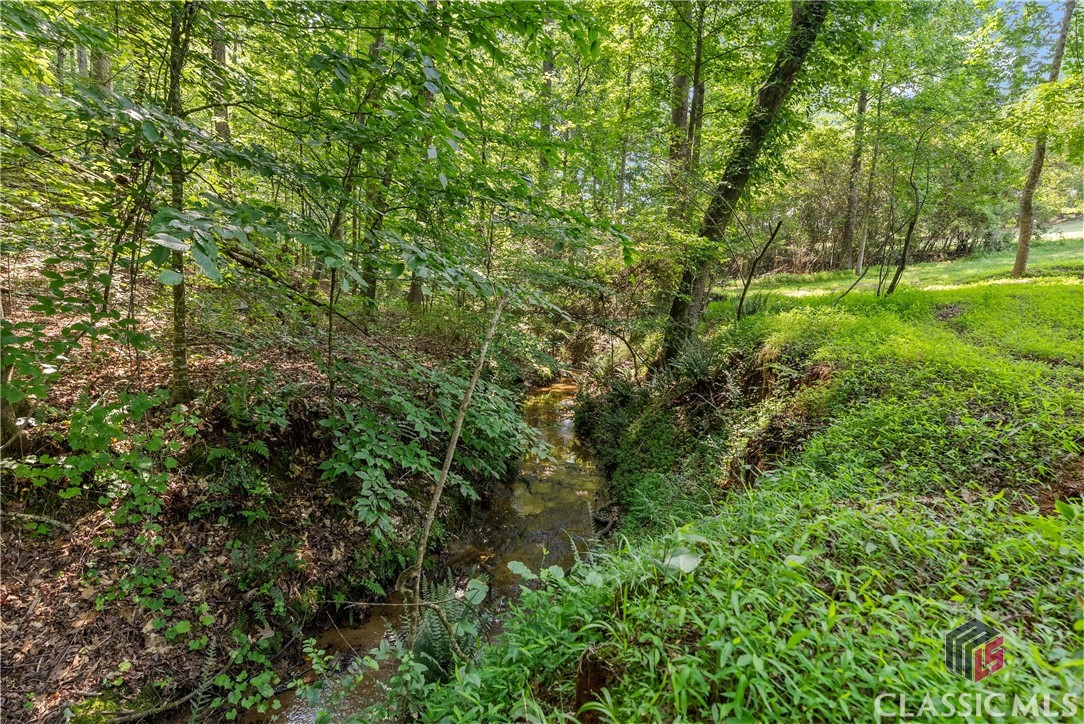 4514 Walking Stick Lane