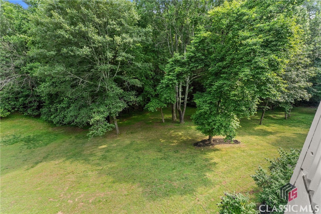 4514 Walking Stick Lane