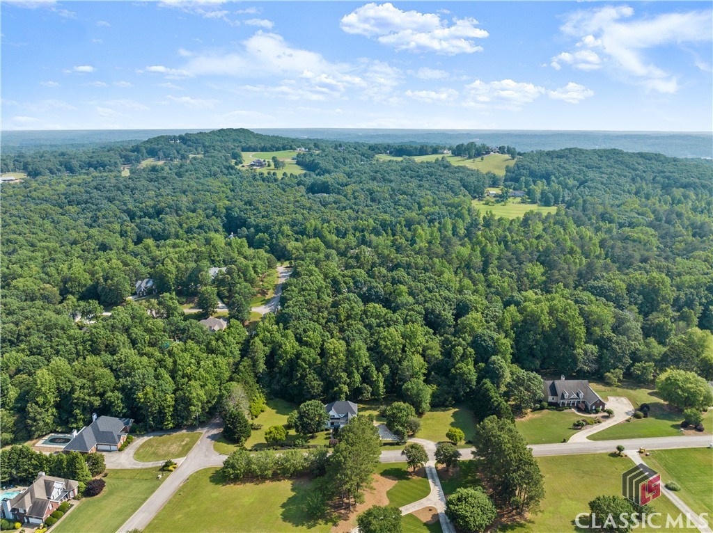 4514 Walking Stick Lane