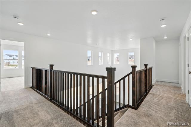 16890 Black Rose Place