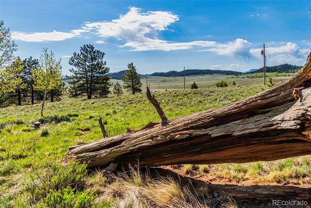 152 Wagon Wheel Road