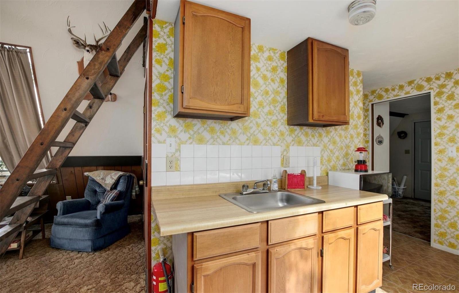 63 Welsh Cob Lane