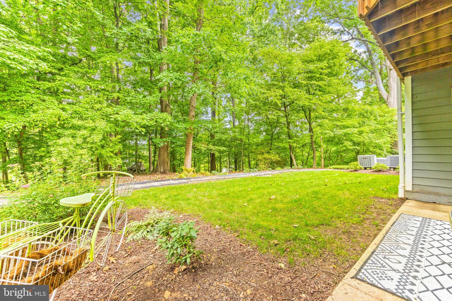9463 Hickory Limb #251