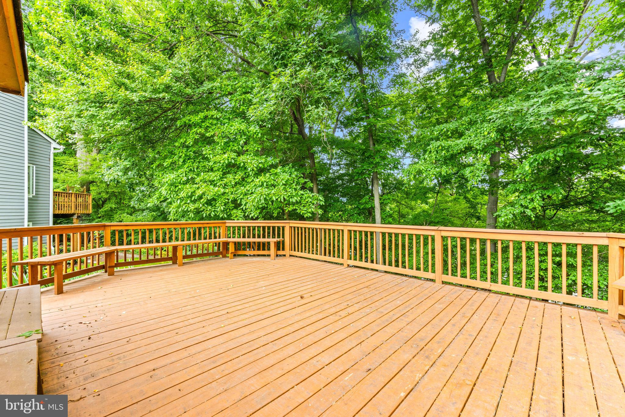 9463 Hickory Limb #251