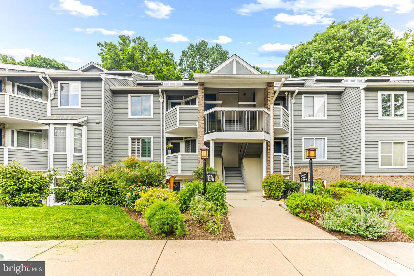 9463 Hickory Limb #251