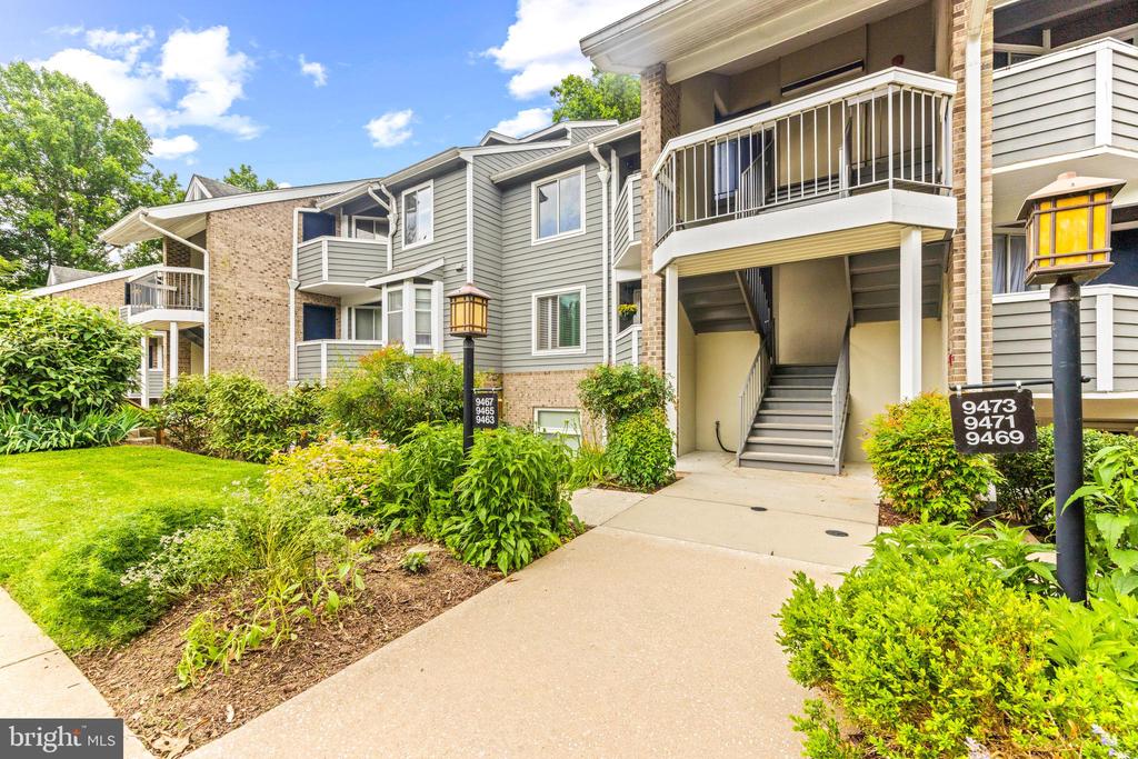 9463 Hickory Limb #251