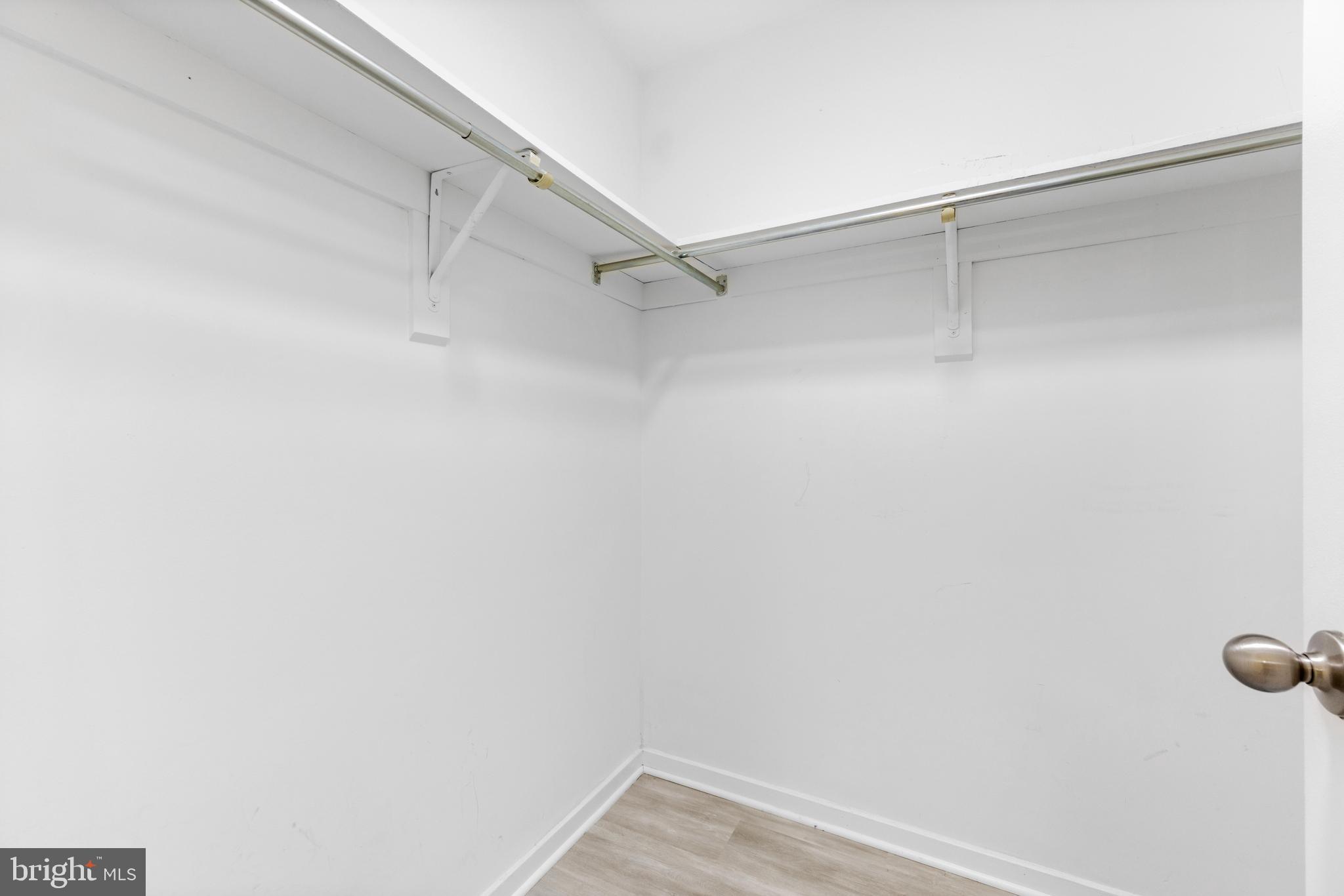 9463 Hickory Limb #251