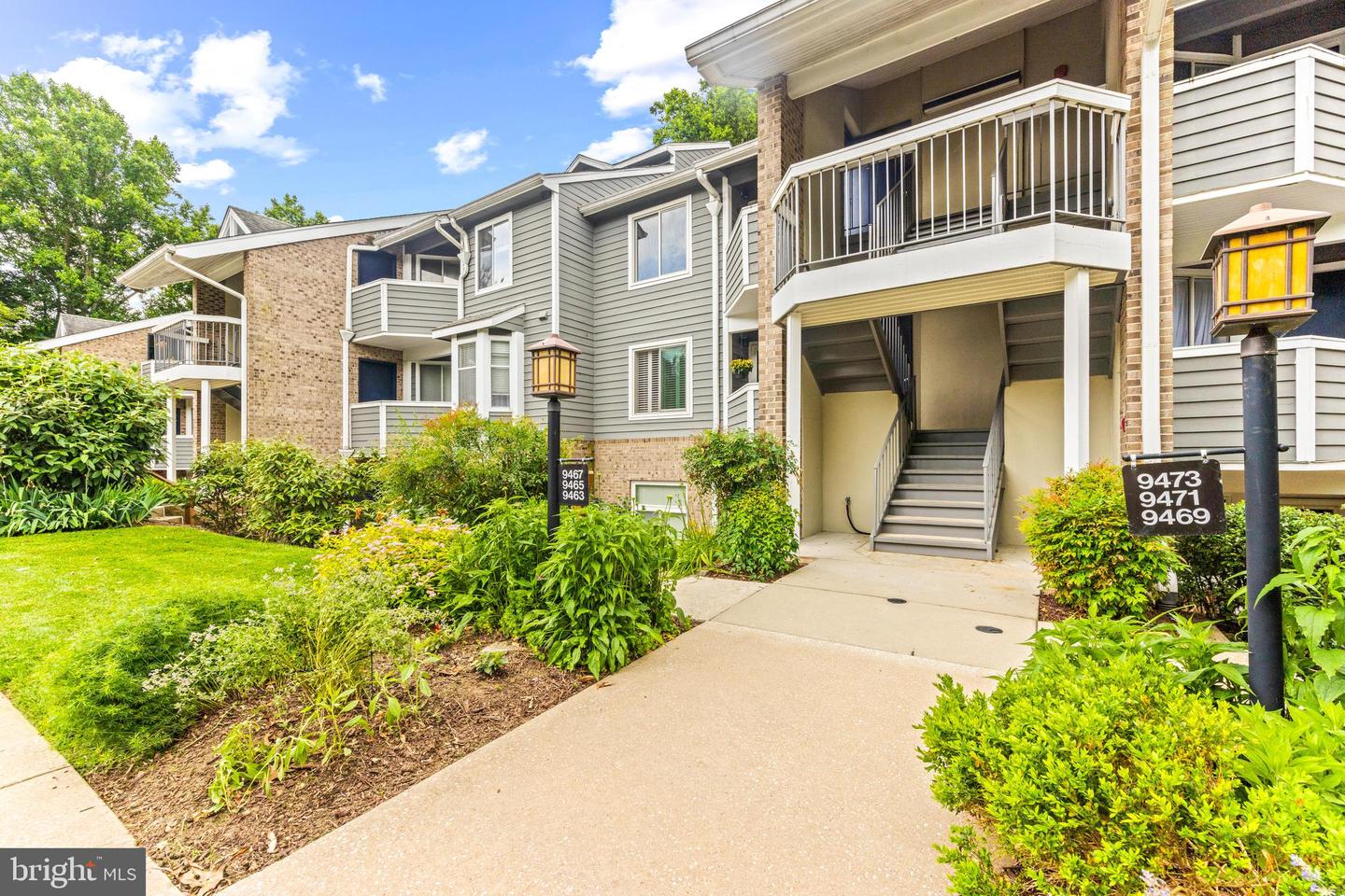 9463 Hickory Limb #251