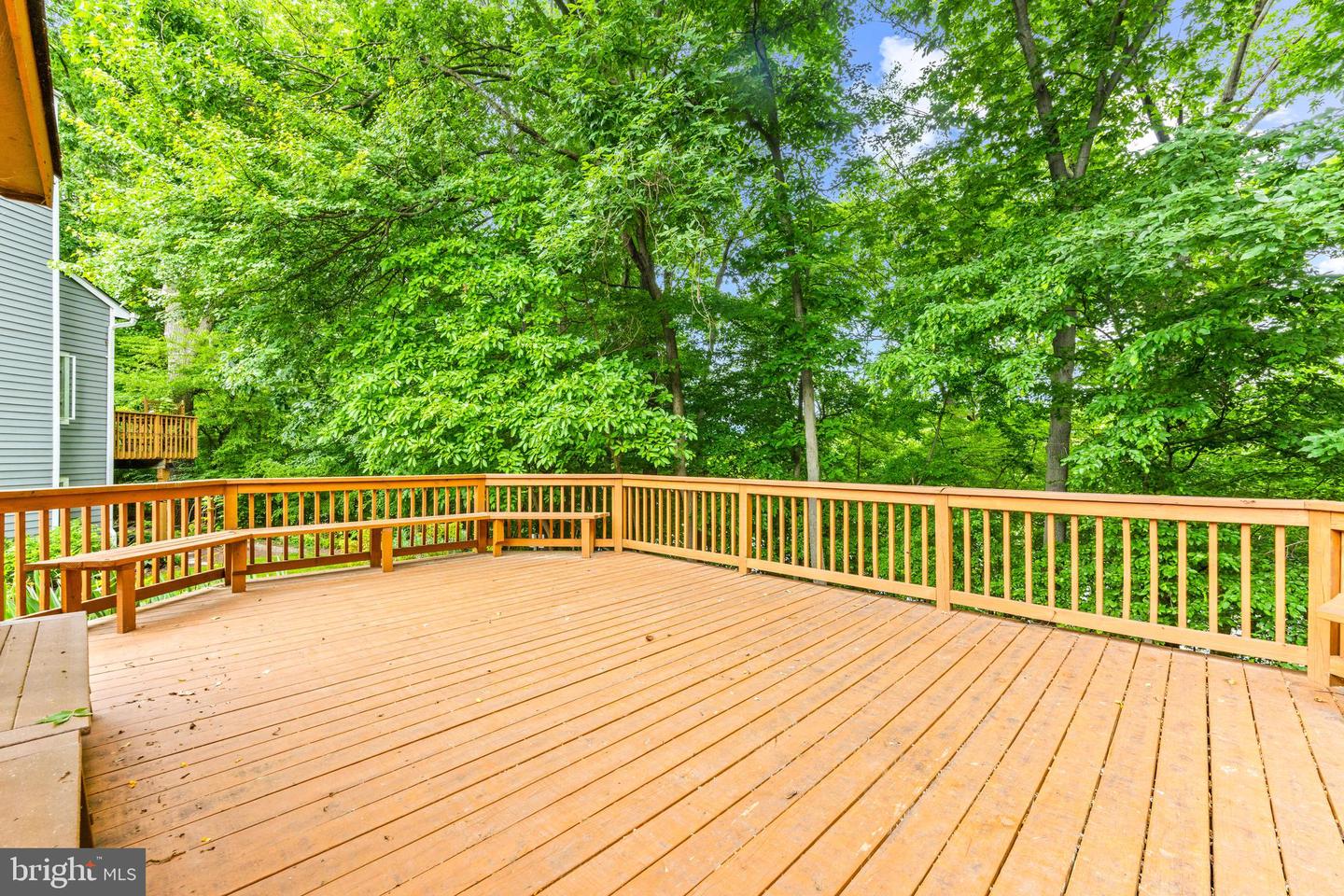 9463 Hickory Limb #251