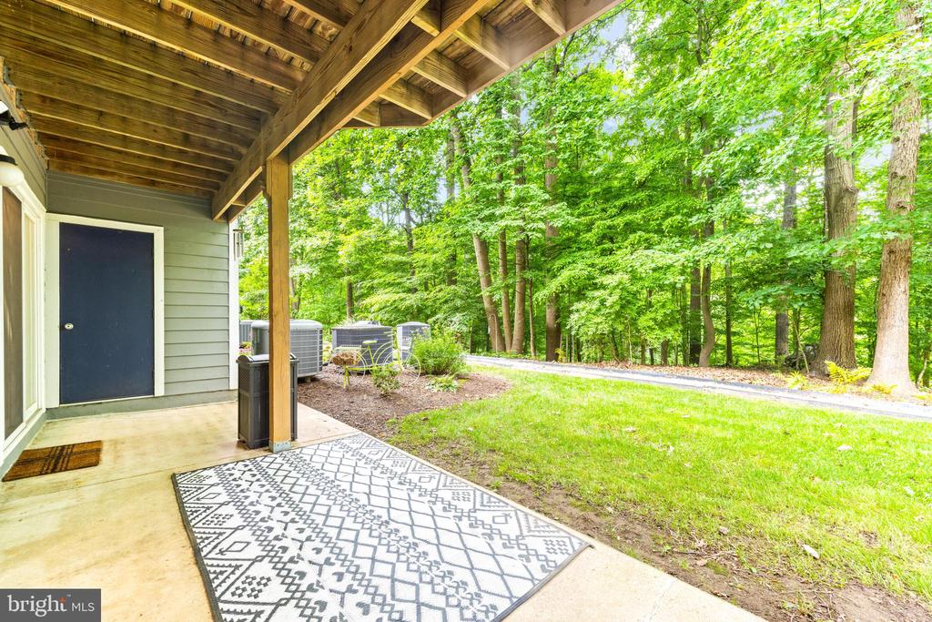 9463 Hickory Limb #251