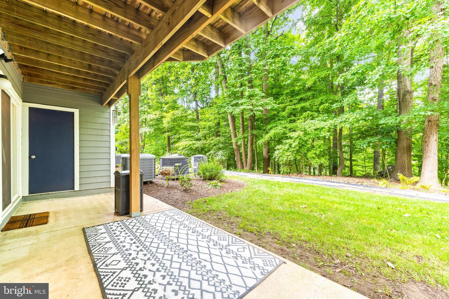 9463 Hickory Limb #251