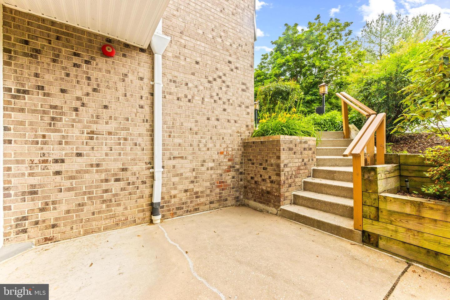 9463 Hickory Limb #251